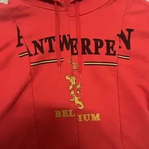 Vetements | Sweaters | Vetements Fw8 Antwerpen Split Hoodie Red